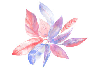 Palm pink and purple leaves, leaves of palm tree, watercolor illustration on isolated white background, greeting card