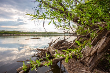 view of the river bank