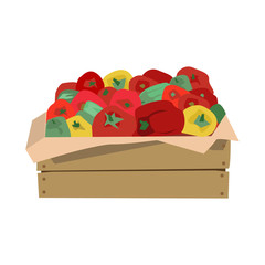 Wooden box with a crop of ripe tomato, cucumbers, peppers. Vector illustration. Isolated on a white background.
