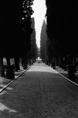 San Michele island peaceful cemetery alley