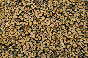 harvesting of wood in the village