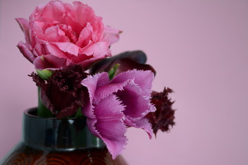 Beautiful pink, lilac and dark tulips in a clay vase on a pink background