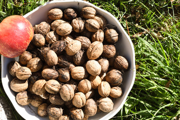 Marketplace raw produce in the sun during summer or autumn time. Macro or detail shot, view from above.