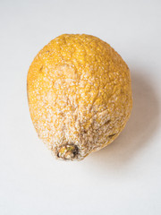 Rotten lemon on white background