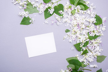 White postcard for text and congratulations with beautiful lilac flowers and green leaves.