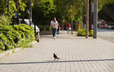 People on street  during Coronavirus pandemic. Social Distancing. Spain