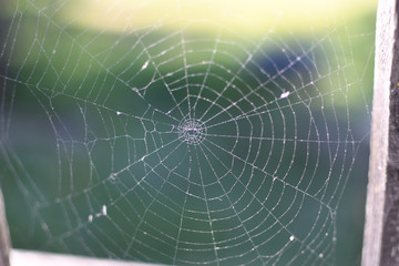 A spider web on a fence at the country side. Green grass in the background, rural setting.