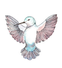 Bird painting in watercolor on white background. Illustration handmade.