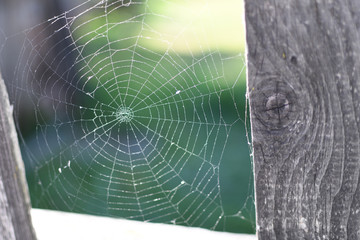 A spider web on a fence at the country side. Green grass in the background, rural setting.
