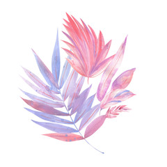 bouquet of Palm pink and purple leaves, leaves of palm tree, watercolor illustration on isolated white background, greeting card