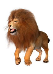 3D Rendering Male Lion on White