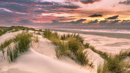 Papier Peint photo Mer du Nord, Pays-Bas Vue depuis la dune sur la mer du Nord