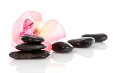 Stacked black stones with pink Orchid flower
