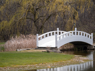 bridge in the park