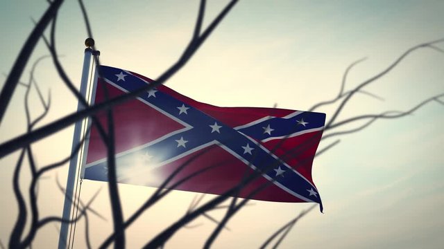 Confederate flag waving on a flagpole - animation