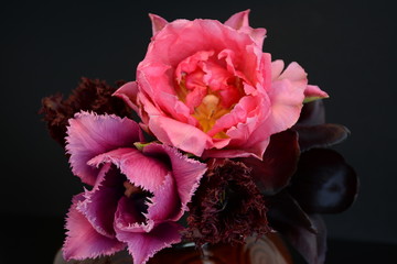 Bouquet of terry and peony tulips on a dark background