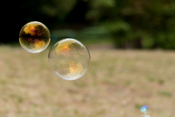 公園に飛んでいるシャボン玉の泡
