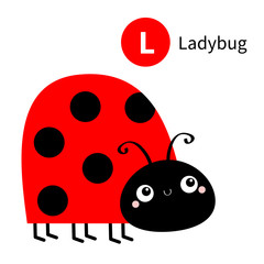 Letter L. Ladybug ladybird. Zoo animal alphabet. English abc with cute cartoon kawaii funny baby insect animals. Education cards for kids. Isolated. White background. Flat design.