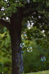 公園に飛んでいるシャボン玉の泡
