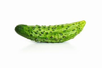 One green cucumber with pimples on a white