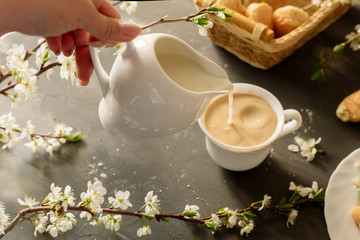 Croissants and coffee with milk on a black background with flowering branches of cherry
