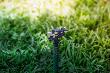 The natural background of the trunks of trees planted in the park, with blurred winds, fresh air and coolness.