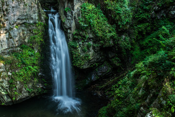 Fototapeta na wymiar Blurred mountain waterfall in the forest. Landscape of Miedzygorze, Sudety, Poland.
