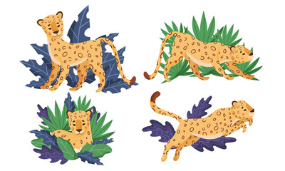Spotted Leopard in Standing and Jumping Pose Vector Set © Happypictures