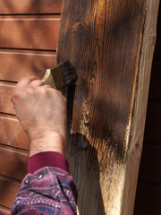 Obraz premium Painting the Board, close-up of the hand applying paint with a brush on the treated surface. The concept of design work, carpentry, processing of wood products.