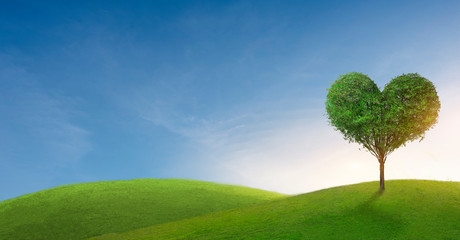 Obraz na płótnie Canvas Green mountain with heart shape tree under blue sky. Beauty nature,for good environment.