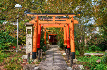 Fototapeta na wymiar The red torii gates along a path to the small Inari-sha Shrine. Hirano Shrine. Kyoto. Japan