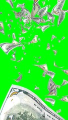 Flying dollars banknotes isolated on chromakey. Money is flying in the air. 100 US banknotes new sample. Vertical orientation. 3D illustration