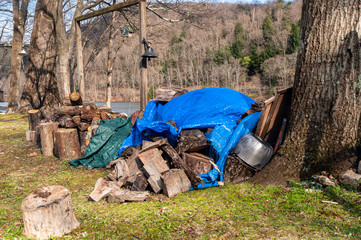 A pile of partially covered cut wood along the Allegheny River in Warren County, Pennsylvania, USA on a sunny spring day