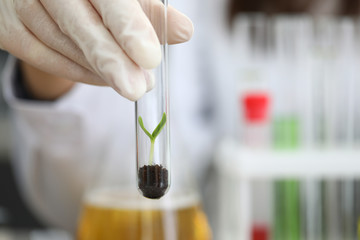 Close-up of glass flask with plant leaf inside. Persons hand in white protective glove. Germ in ground. Laboratory investigation agriculture and biology concept