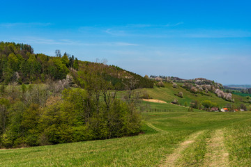 Fototapeta na wymiar green fields and beautiful hills colored green and white in early spring
