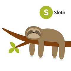 Cute Sloth Hanging On Tree Branch Icon Cartoon Kawaii Baby Character Wild Jungle Animal Collection Kids Education Isolated White Background Flat Design Wall Mural Worldofvector Cute Sloth Hanging On Tree Branch Icon Cartoon Kawaii Baby Character Wild Jungle Animal Collection Kids Education Isolated White Background Flat Design Wall Mural Worldofvector