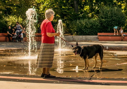 Old lady strolling with her dog on a leash,  park fountain in the background. Wet dog is taking a shower.