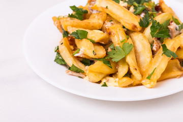 Canadian poutine french fries with brown gravy sauce, chicken and cheese curds.
