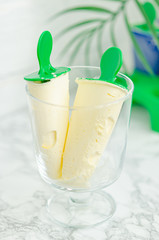 Delicious vanilla homemade ice cream in a special form for freezing. Homemade sweet treats, desserts.