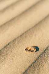 wedding rings on the sand
