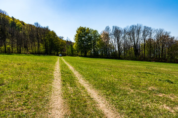 dirt road through a green field in spring on a clear day