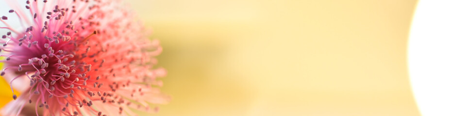 abstract background for web banners with space for text. HD Image and Large Resolution. can be used as wallpaper