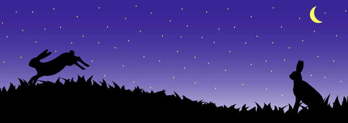 Silhouette of hare in the grass. © sergey89rus