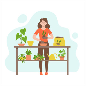 Woman trasplanting a plant into another pot. Gardening concept. Table full of plants and a watering can. Vector illustration isolated on white background.