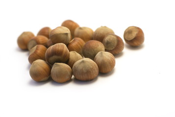 handful of nuts on a white background
