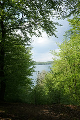 Crystal clear Peetschsee located in Stechlin conservation area, Brandenburg Germany             