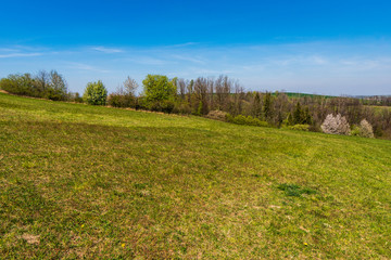 green pastures in spring with flowering trees, Czech Beskydy