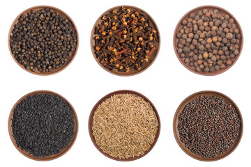Set of spice in clay plates: cloves, black pepper, allspice, mustard seeds, cumin (jeera) isolated on white background