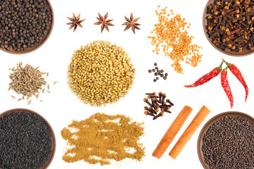 Set of spice: cloves, black pepper, red chili pepper, fenugreek, mustard seeds, cumin (jeera), star...