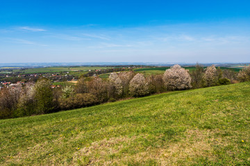 Fototapeta na wymiar green pastures and trees blooming in spring on a clear day with blu e sky, czech beskydy
